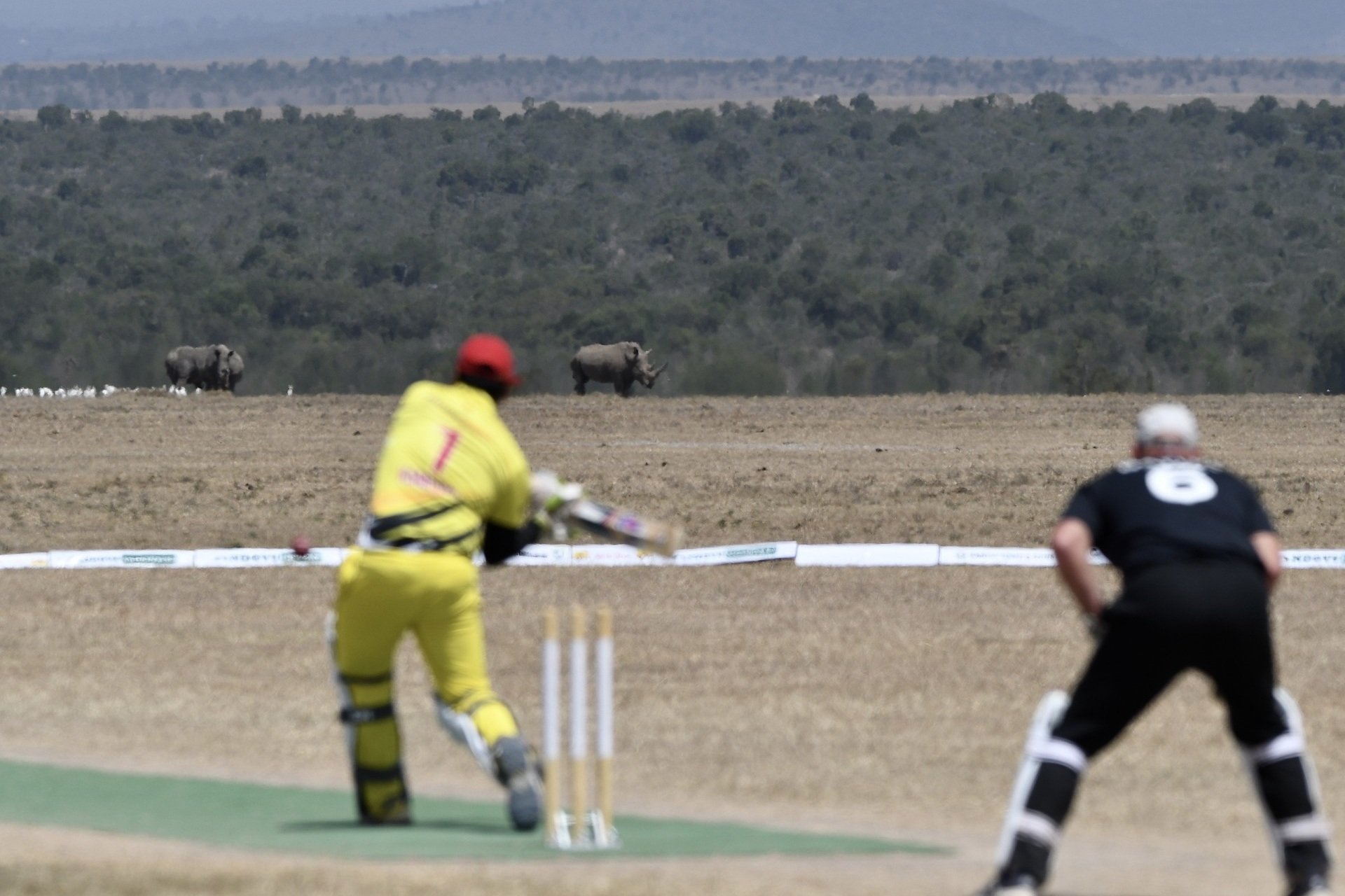 Rhino Cup cricket at Ol Pejeta Conservancy