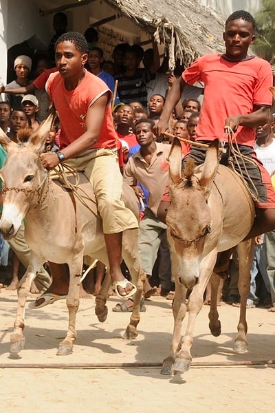 Lamu Cultural Festival