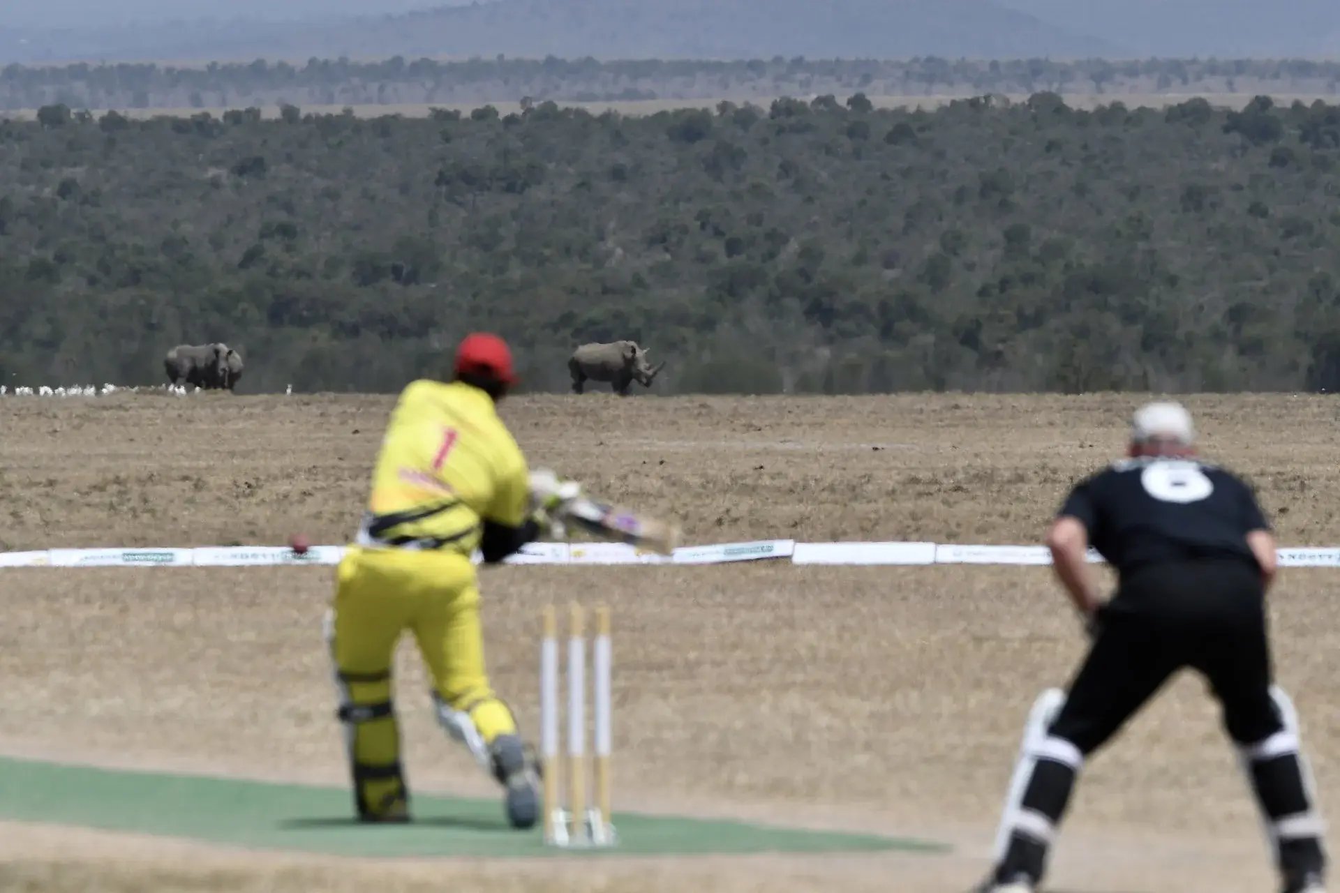 Rhino Cup cricket at Ol Pejeta Conservancy