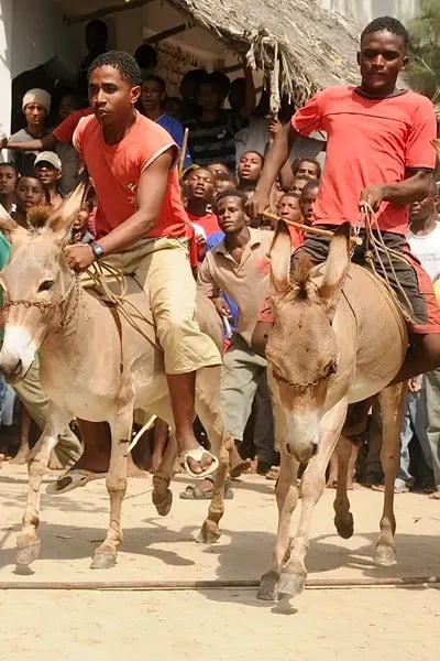 Lamu Cultural Festival